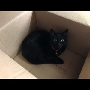 Meet your Posher, Sandy